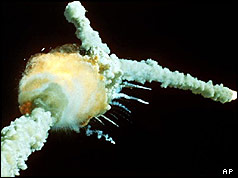 The Space Shuttle Challenger.