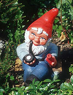 A Garden Gnome